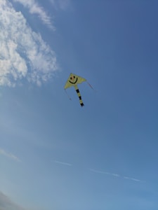 Kite Dreams