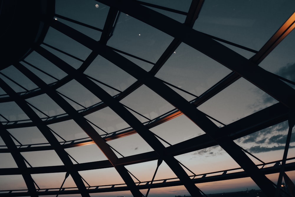 looking up at a glass ceiling