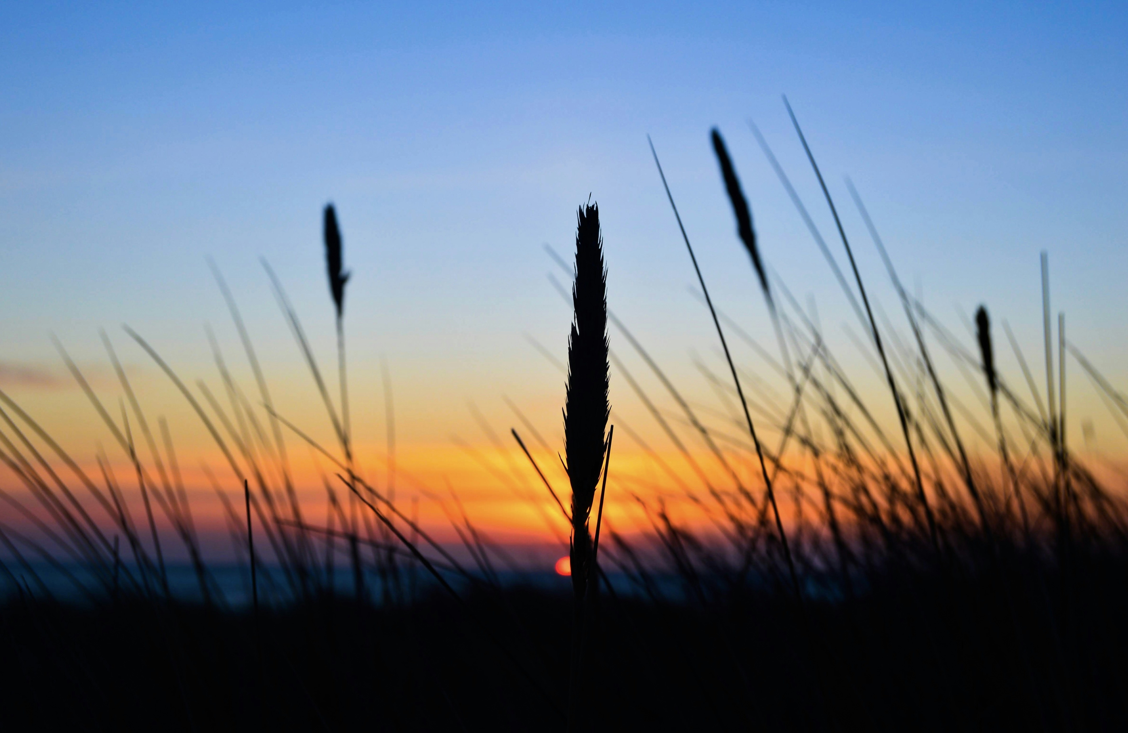 Photo by magnusmandrup