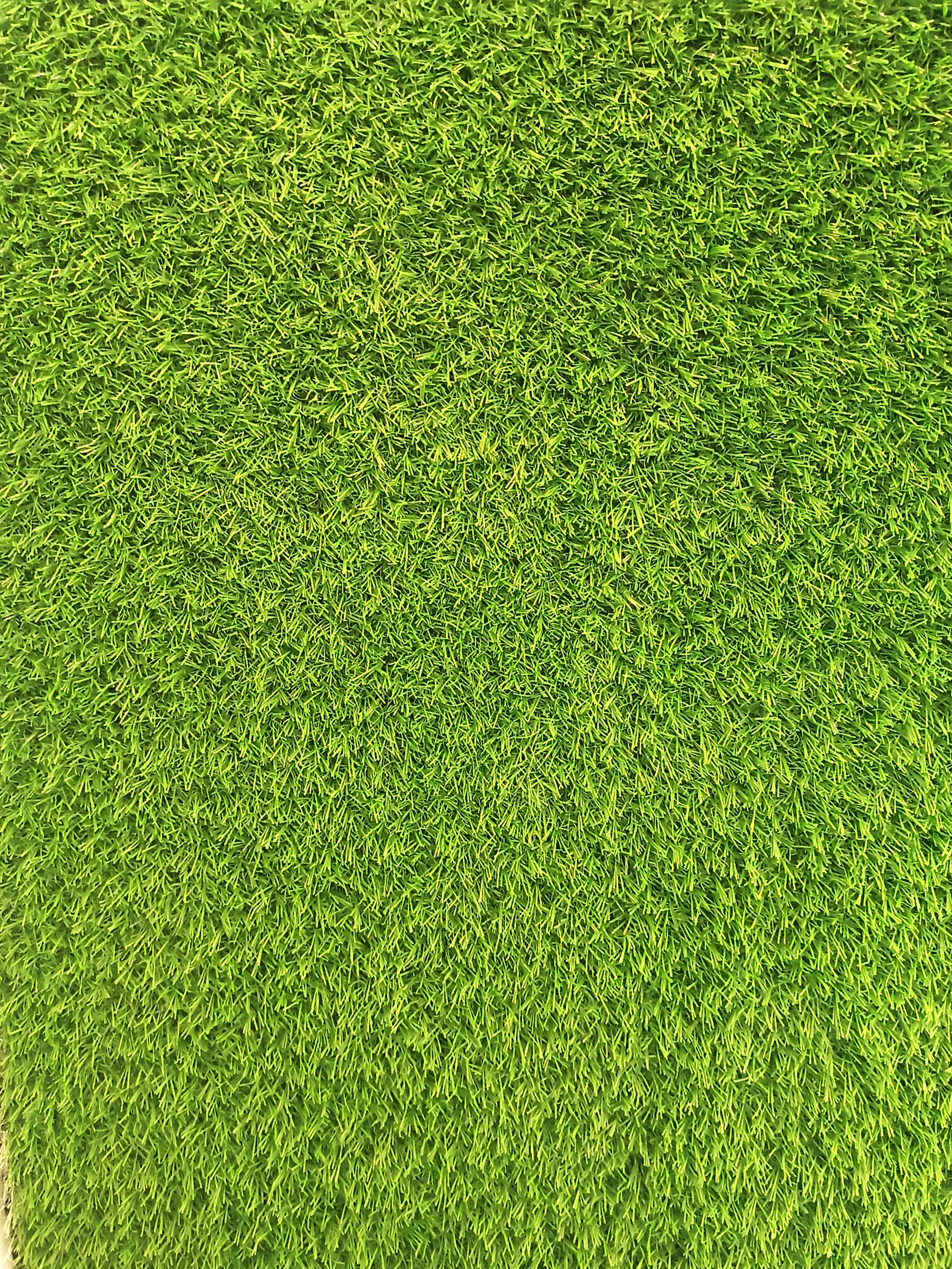 a close up of a grass field