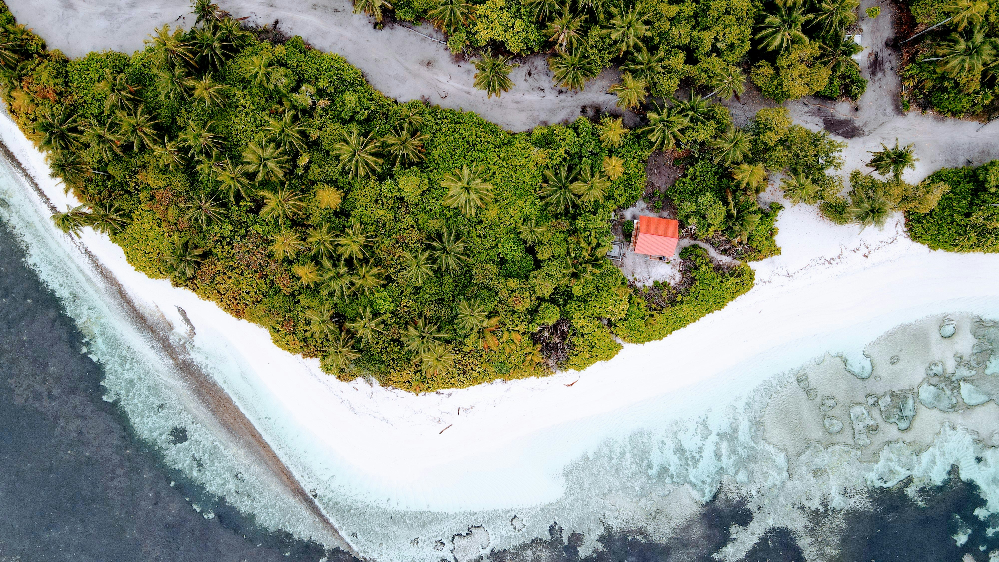 Bioluminescent Beaches of Vaadhoo — On moonless nights, dinoflagellates light the shoreline blue with each breaking wave, peaking from July to February.