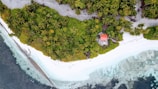 An aerial view of a tropical island featuring lush green foliage and palm trees. A small red-roofed building is nestled among the dense vegetation. White sandy beaches border the island, with clear ocean water gently lapping at the shore.