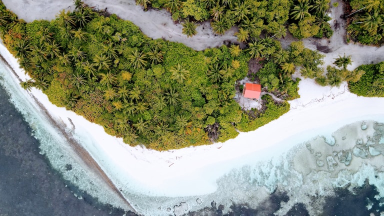 An aerial view of a tropical island featuring lush green foliage and palm trees. A small red-roofed building is nestled among the dense vegetation. White sandy beaches border the island, with clear ocean water gently lapping at the shore.