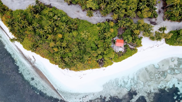 An aerial view of a tropical island featuring lush green foliage and palm trees. A small red-roofed building is nestled among the dense vegetation. White sandy beaches border the island, with clear ocean water gently lapping at the shore.
