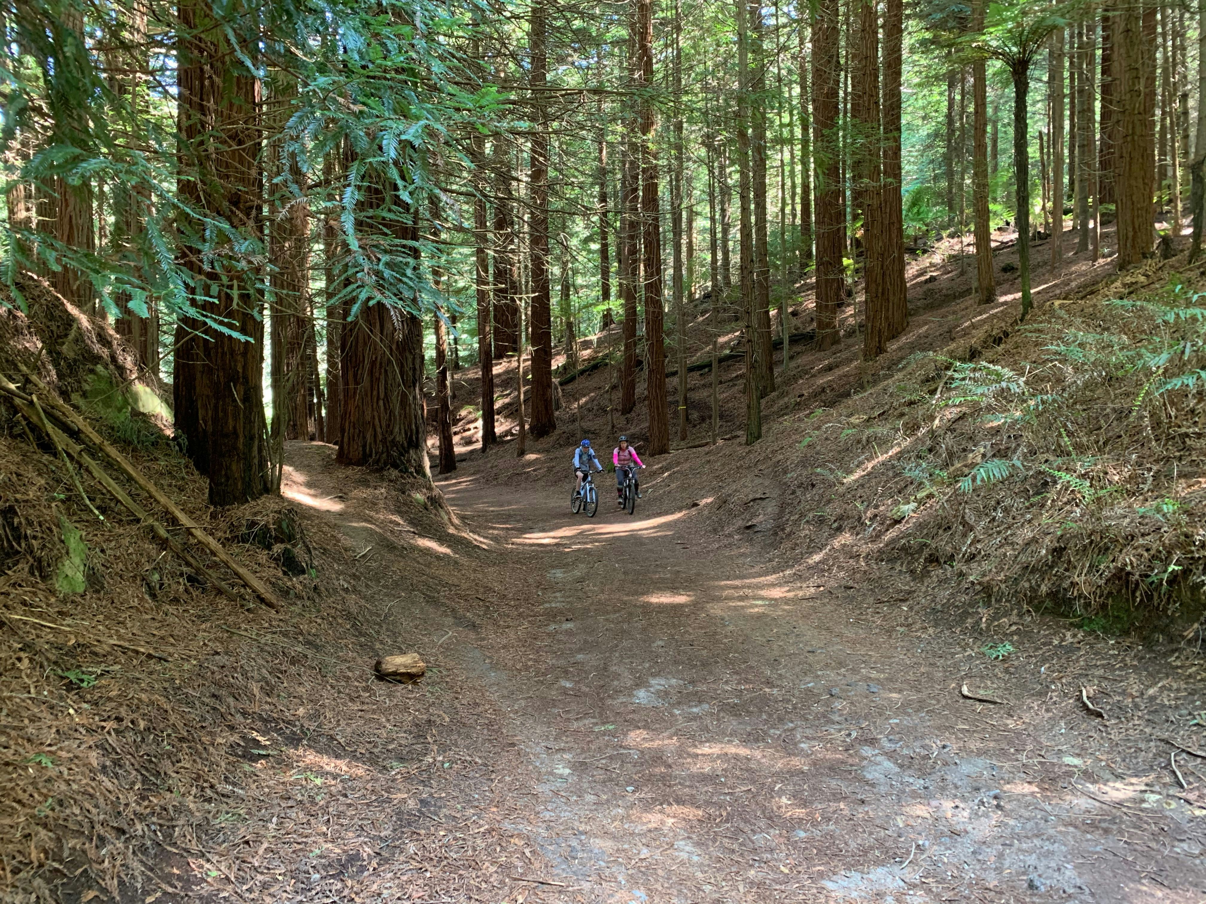 Photo by rotorua_hotels