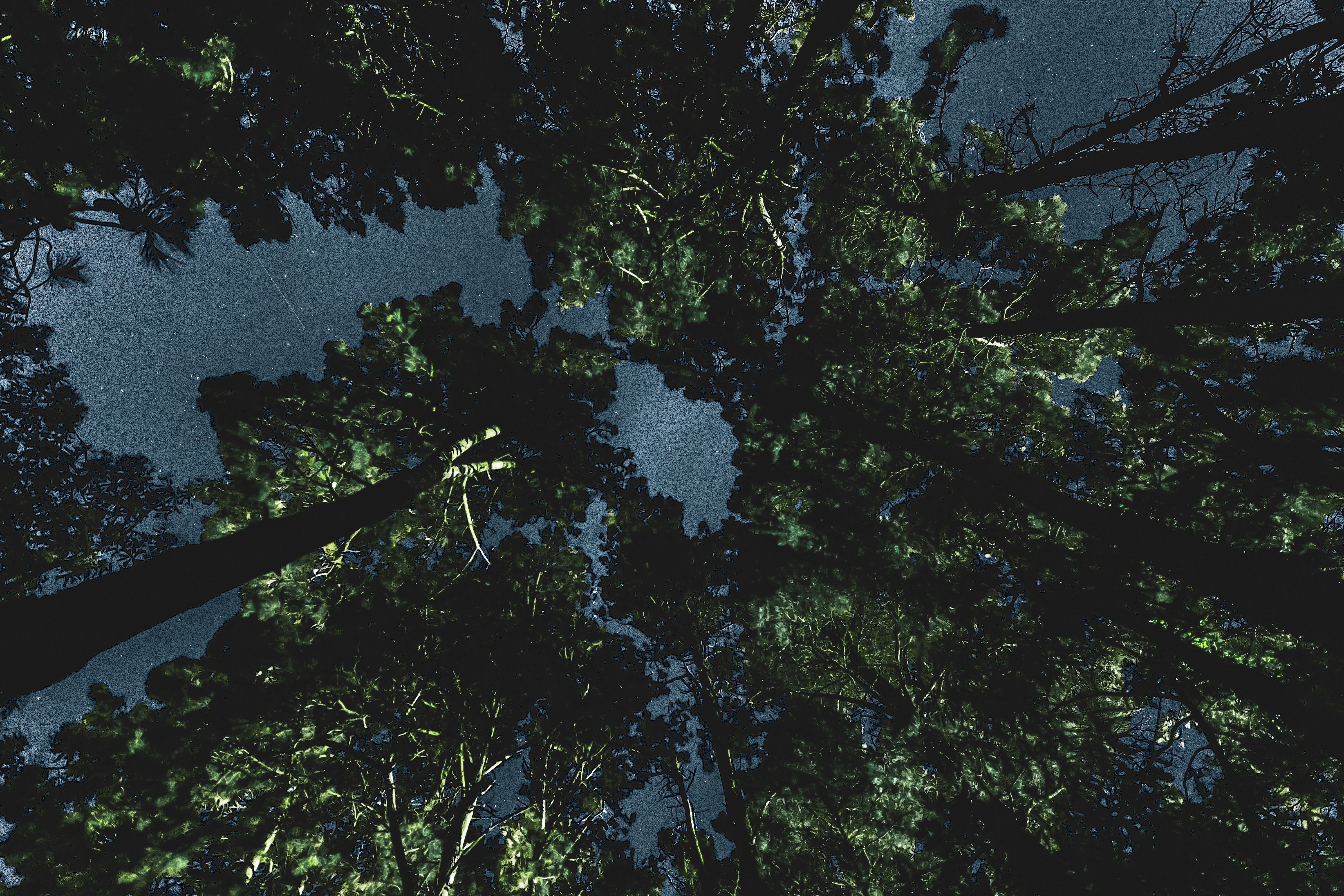 Photo by arizonanthony