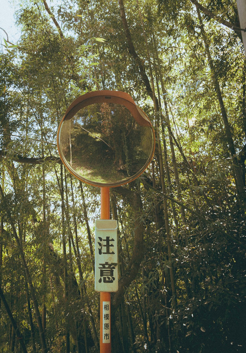 a mirror on a pole