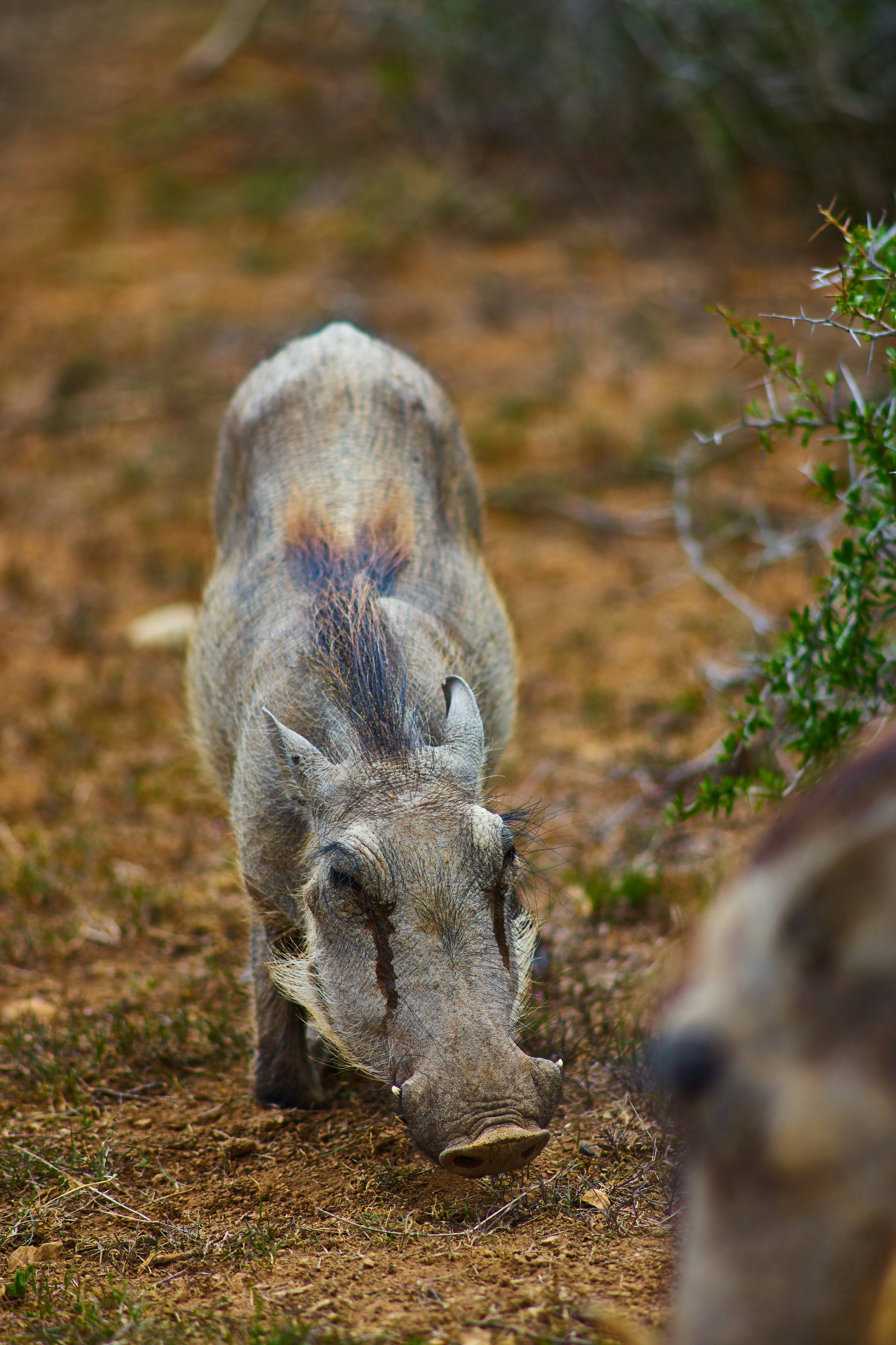 Photo by wolfgang_hasselmann