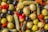 A close-up view of a mix of pickled vegetables, including green and black olives, small pickles, red bell peppers, and onions, all glistening in a liquid brine.