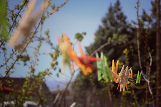 A set of shiny hook pins displayed against a backdrop of green fields.
