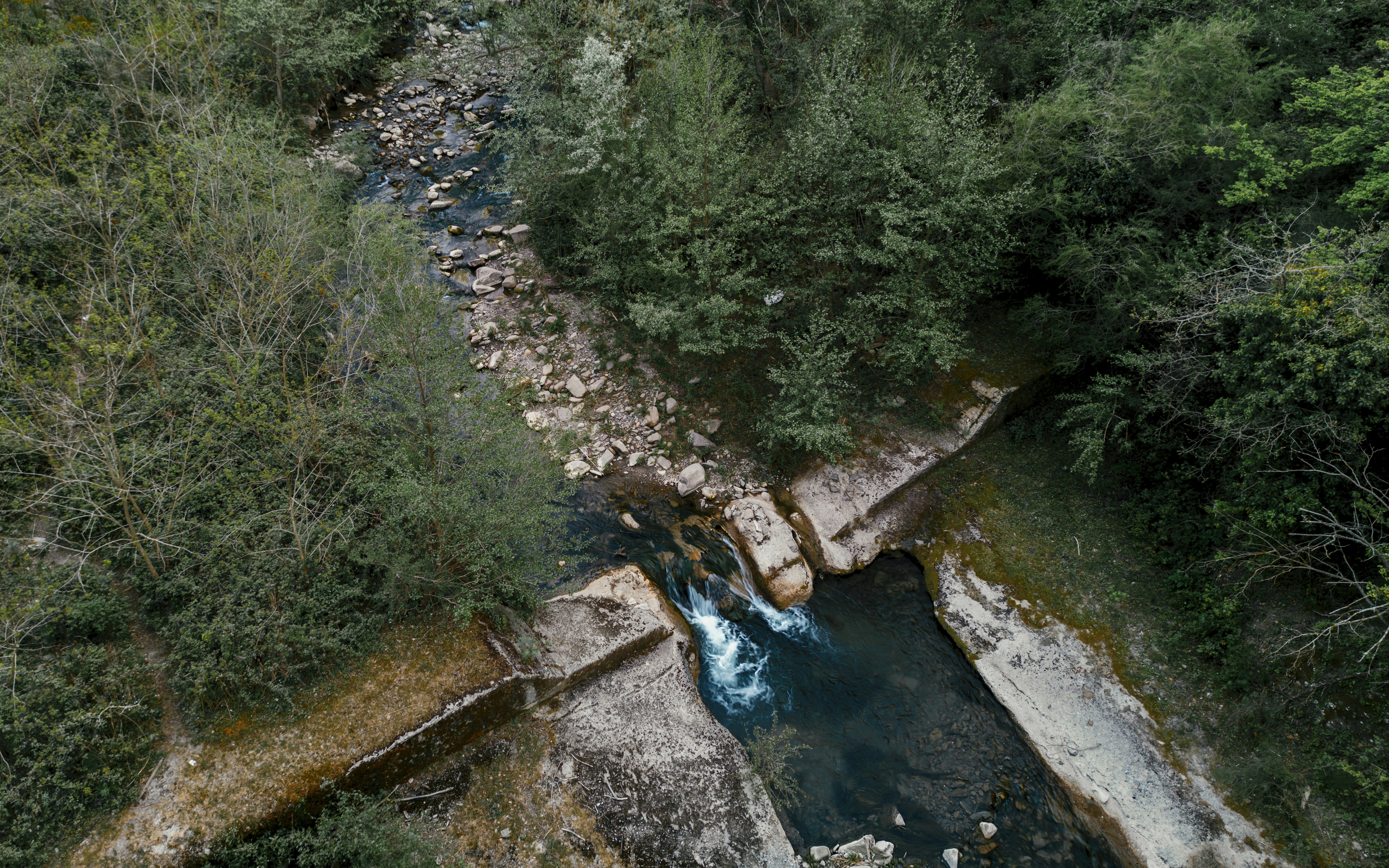 emerald green wallpaper, wallpaper, Emerald Green Home Gym Design: Inspiration 5