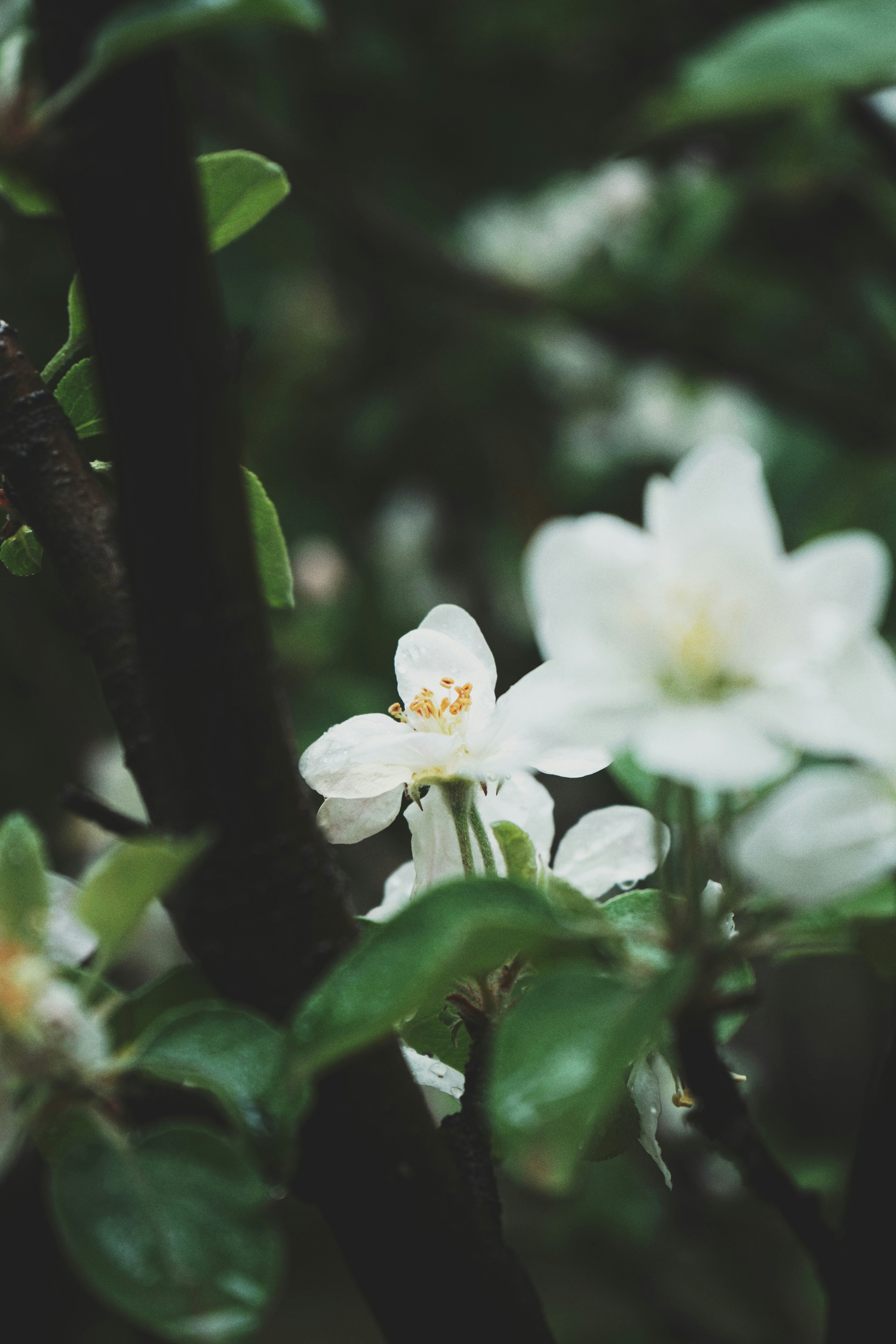 Photo by judahwester