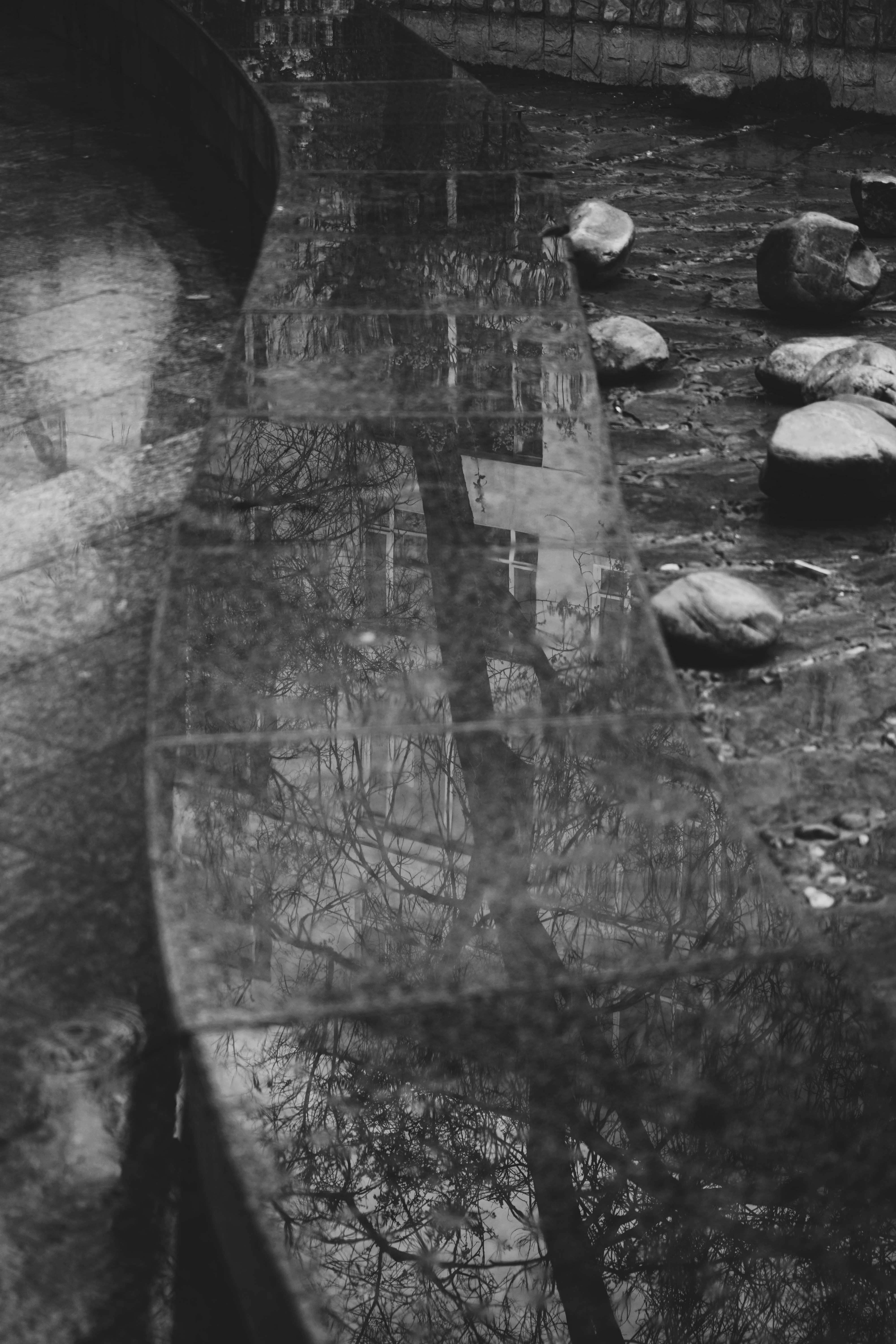 Photo by judahwester