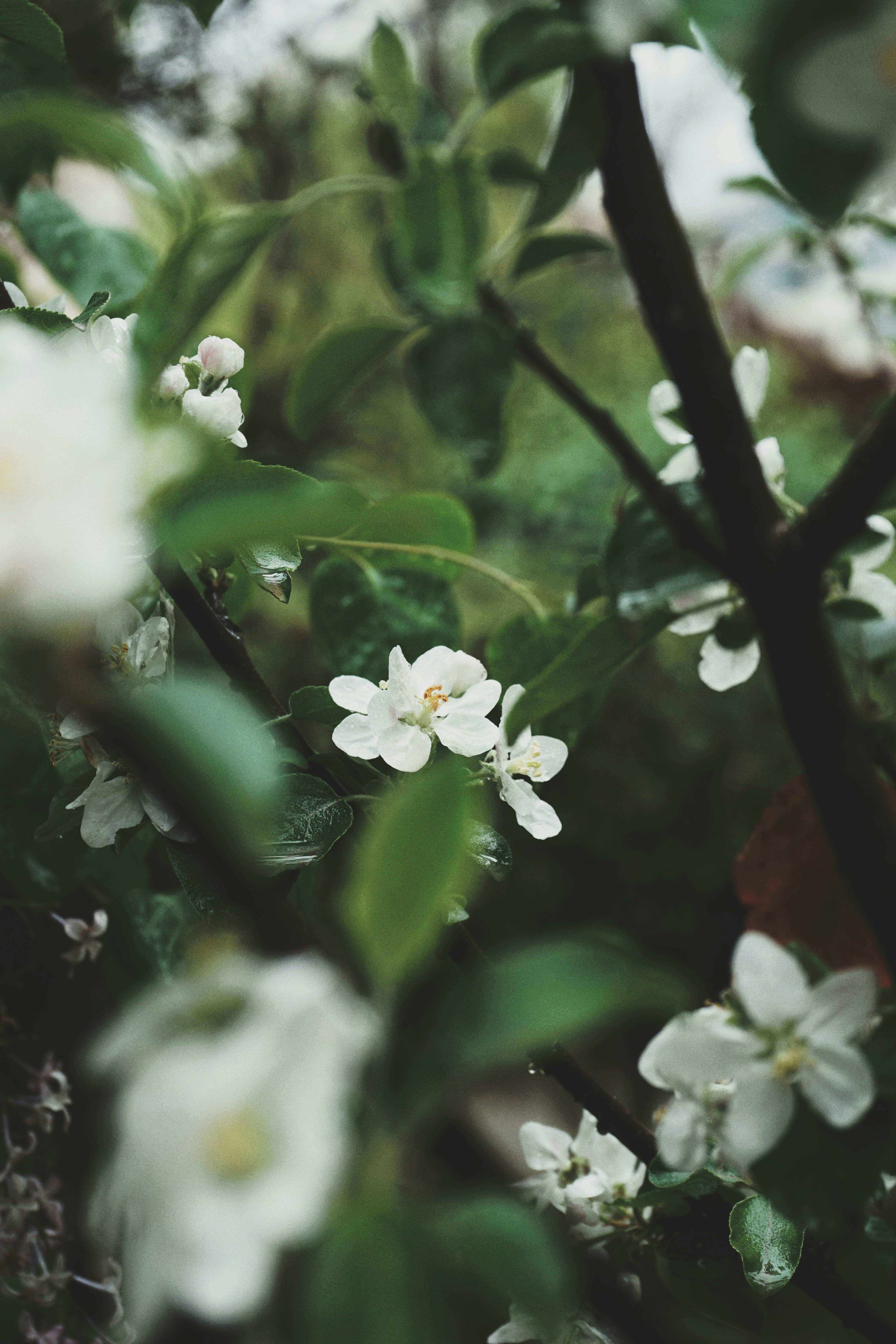 Photo by judahwester