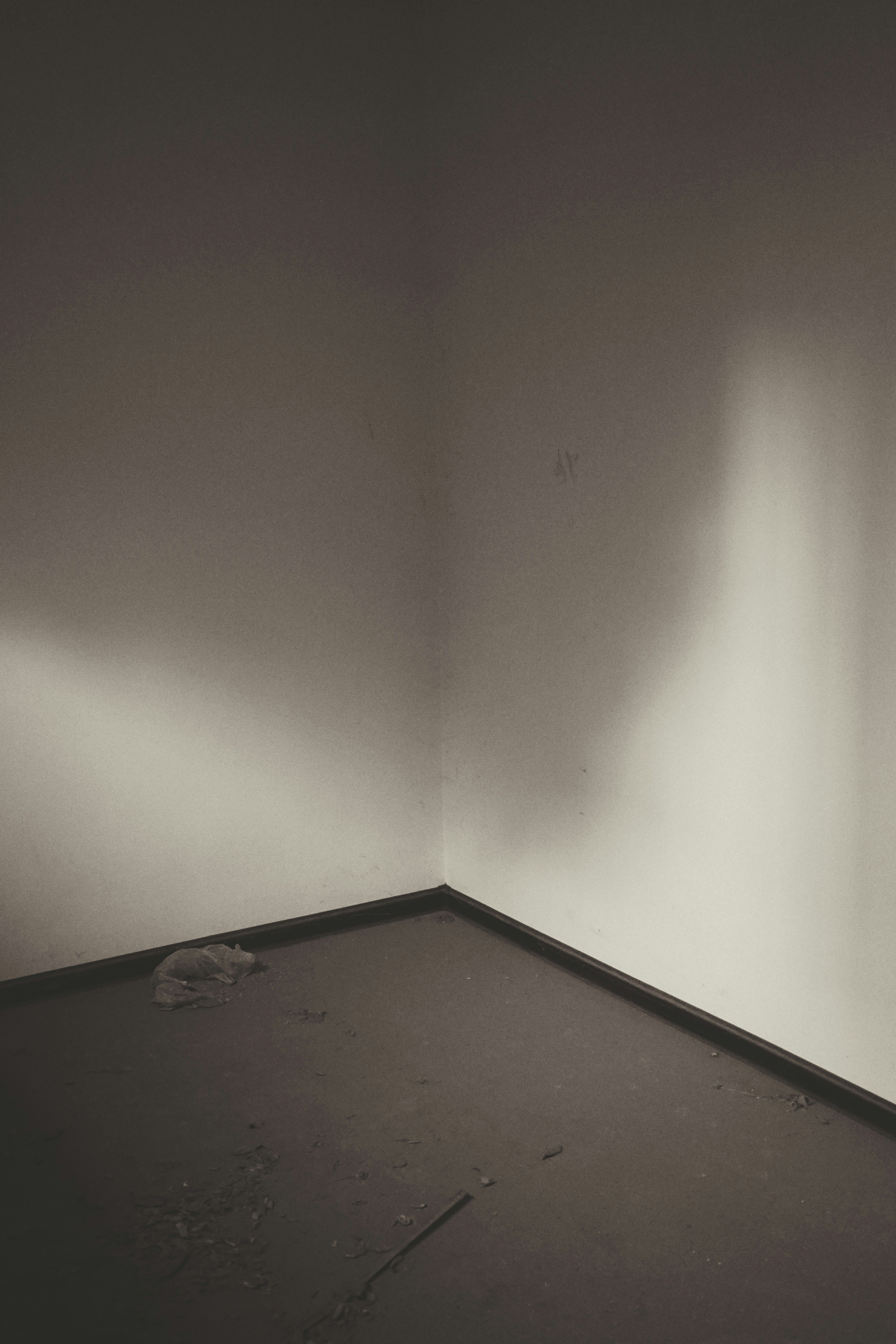 Photo by judahwester