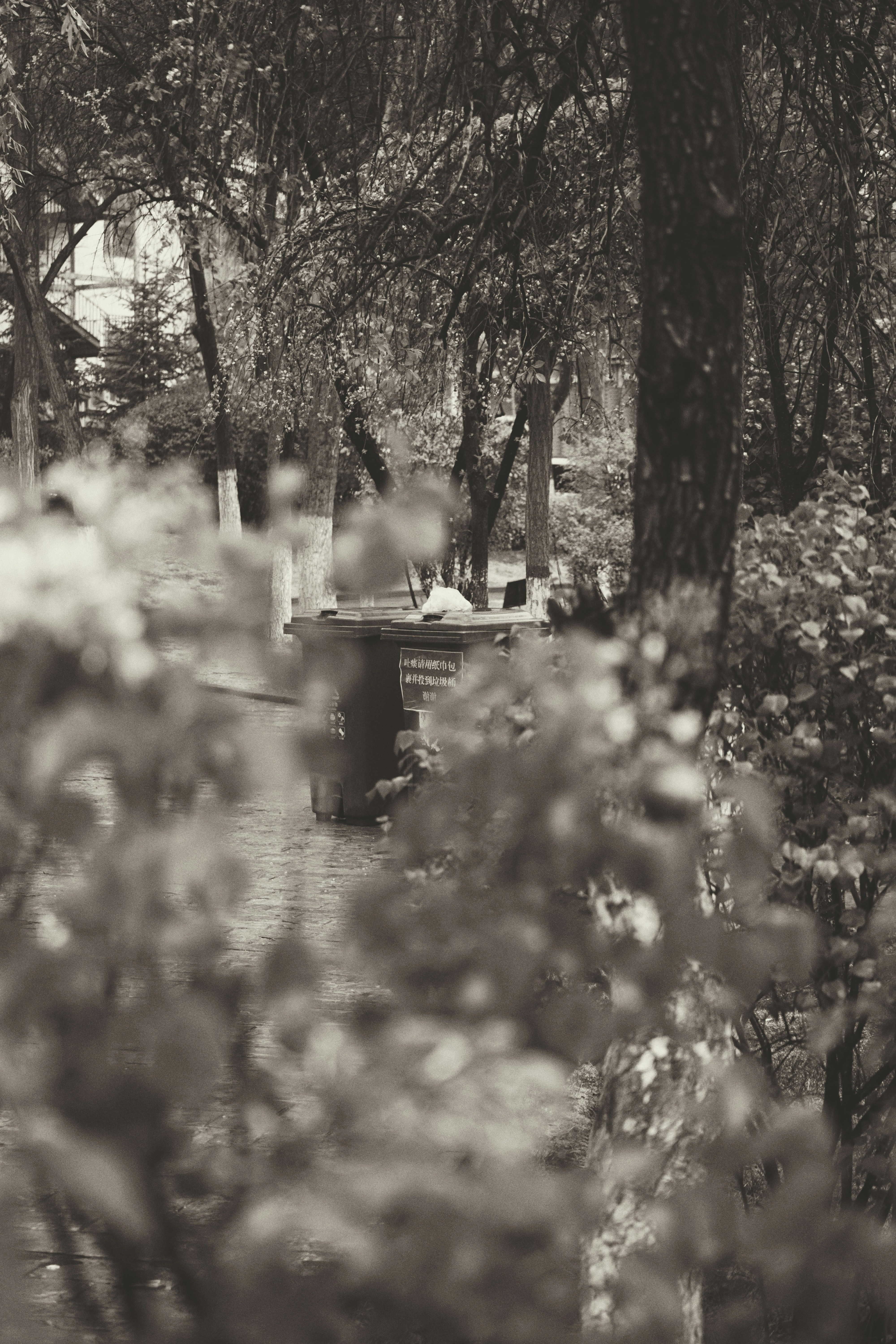 Photo by judahwester