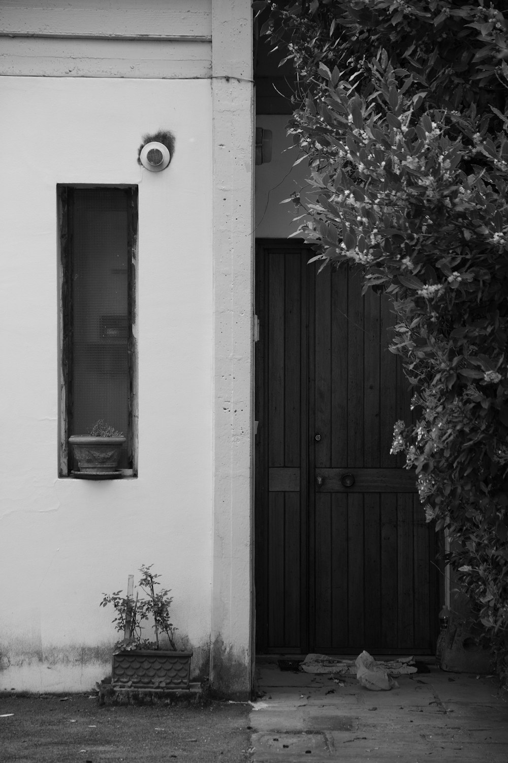 una puerta y un árbol fuera de un edificio