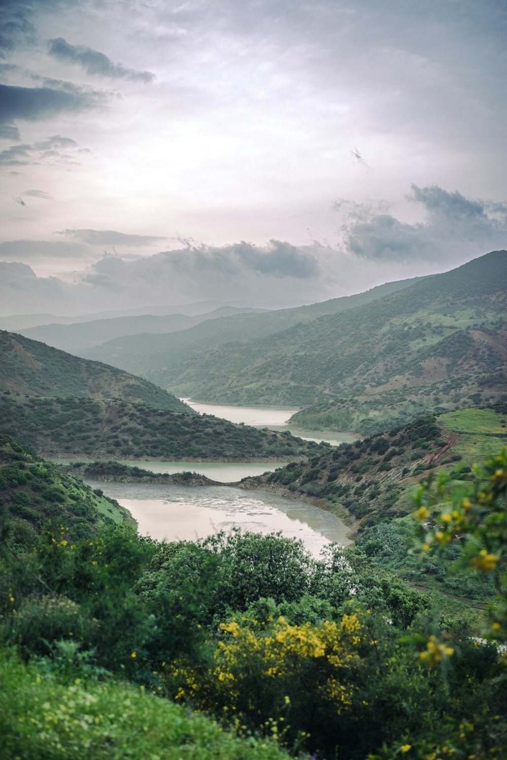 a river running through a valley