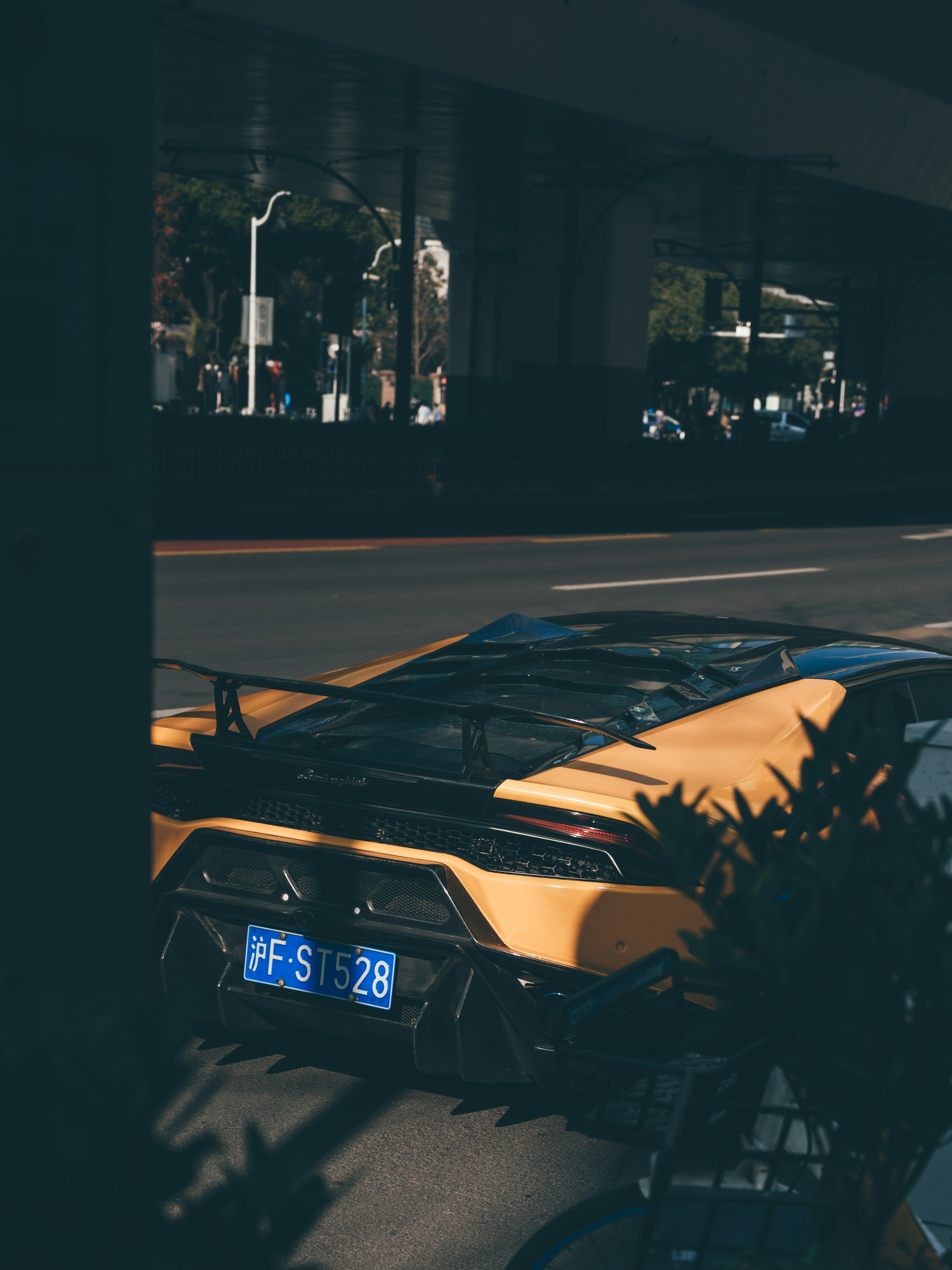 Photo by chenyang1912