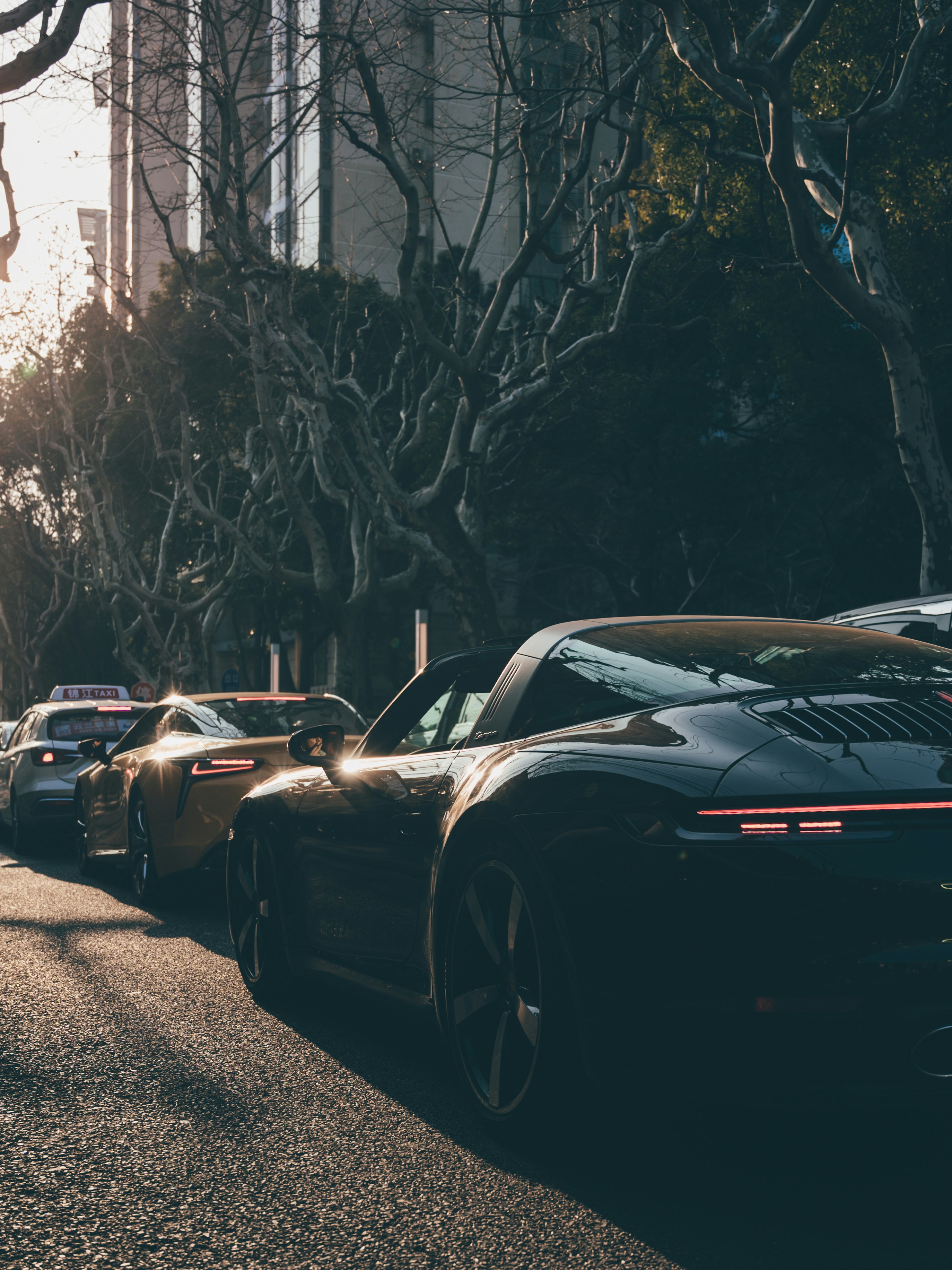 Photo by chenyang1912