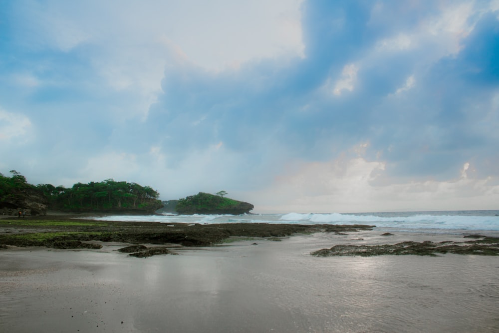 a beach with a small island in the distance