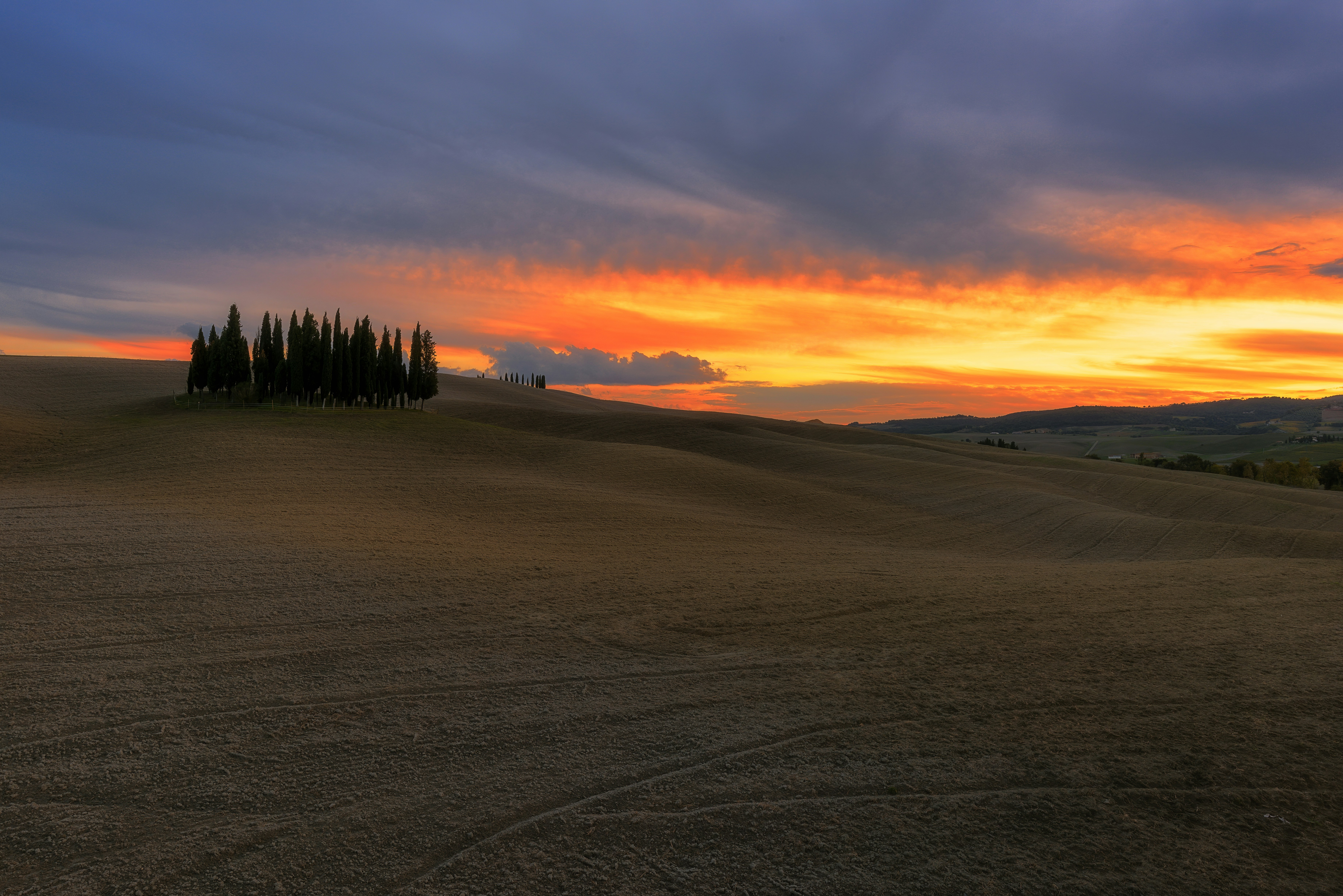 Tuscany cypress hills sunset Italy — Italy honeymoon package closing scene Safari Sutra