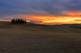 A serene view of rolling Tuscan hills dotted with cypress trees at sunset.