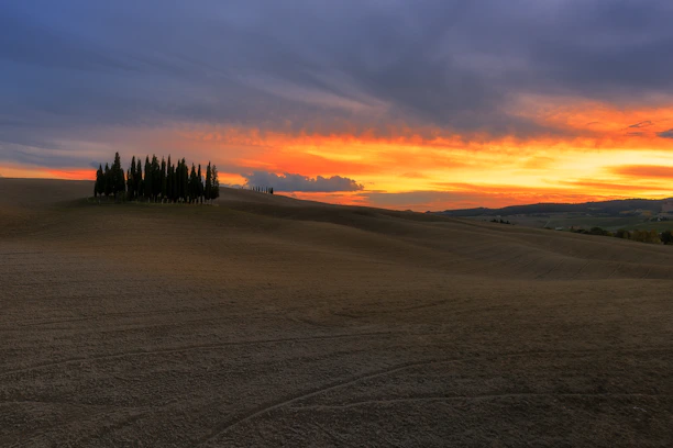 A sweeping Texas landscape at sunset, highlighting rolling hills and ancient oak trees.