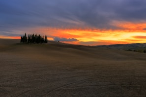 A serene view of rolling Tuscan hills dotted with cypress trees at sunset.