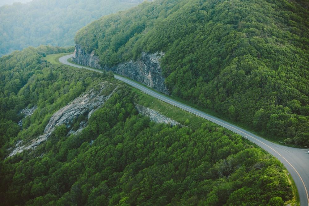 a winding road through a forest