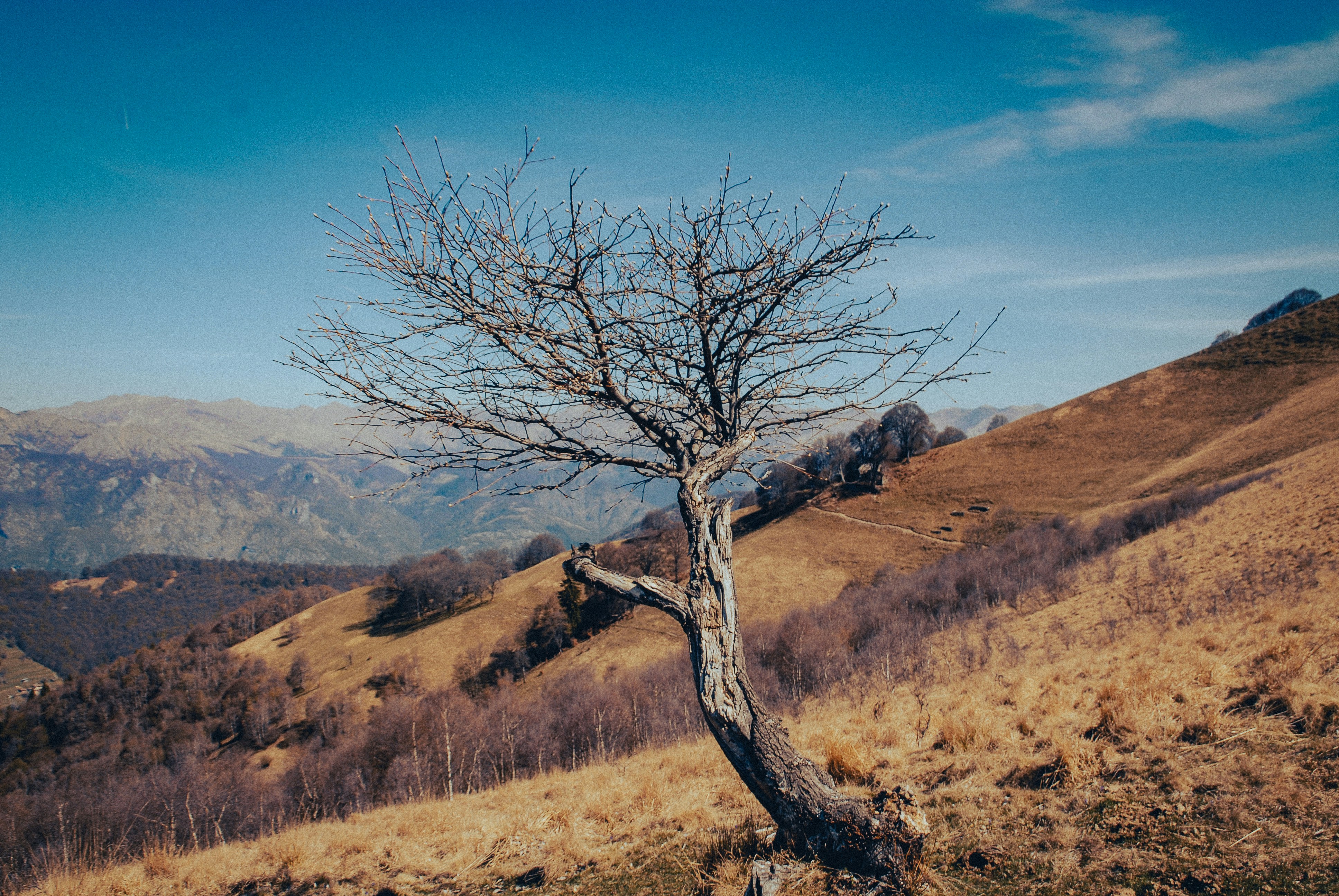 Photo by olivanderum