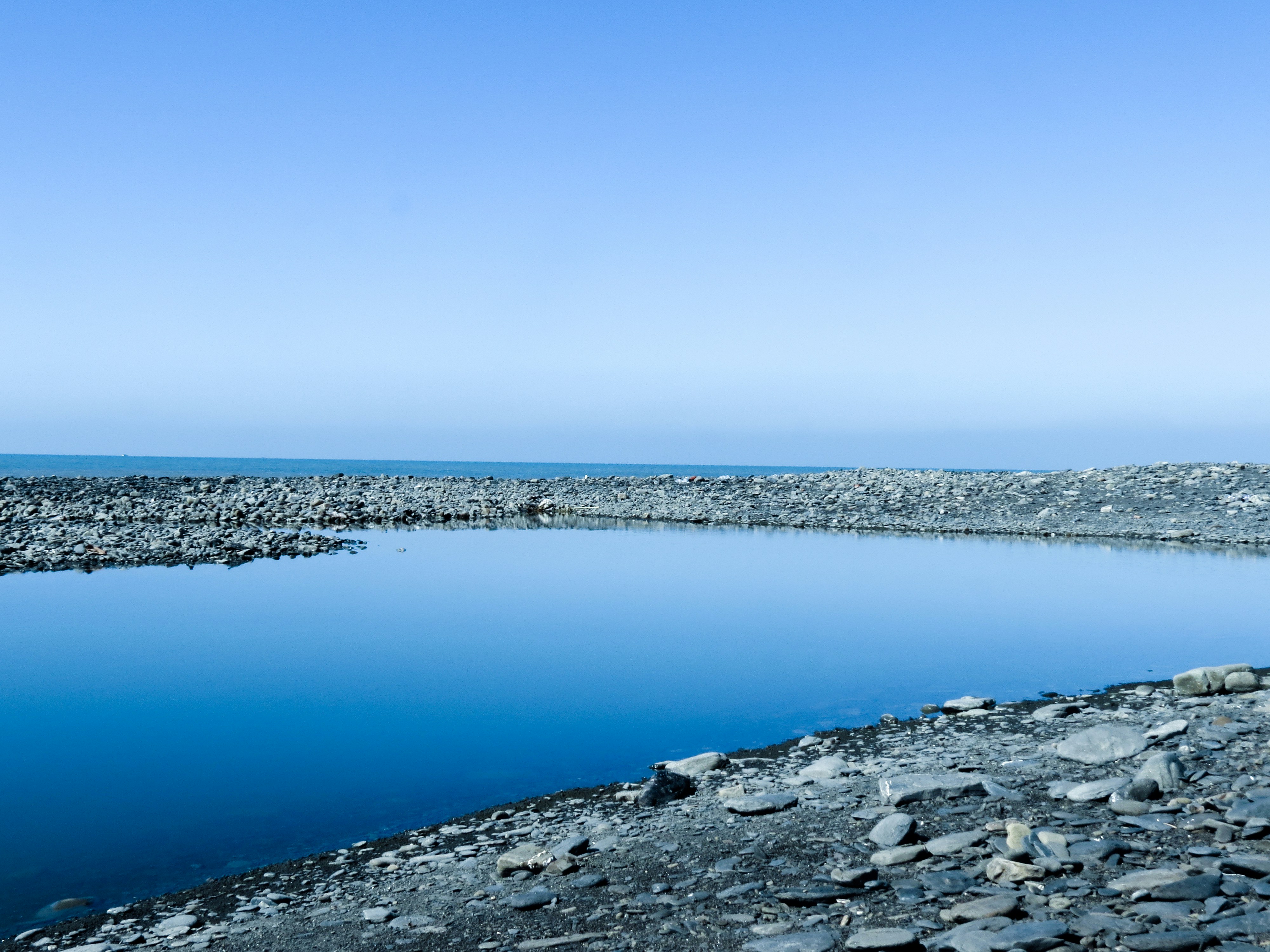 树屏 Pictures | Download Free Images on Unsplash