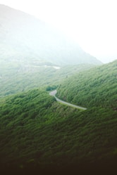 A winding forest road leading to an exclusive, ultra-luxury resort surrounded by misty hills.