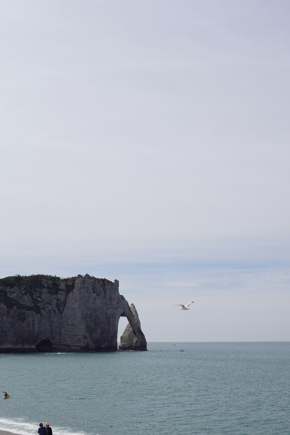 a bird flying over a body of water