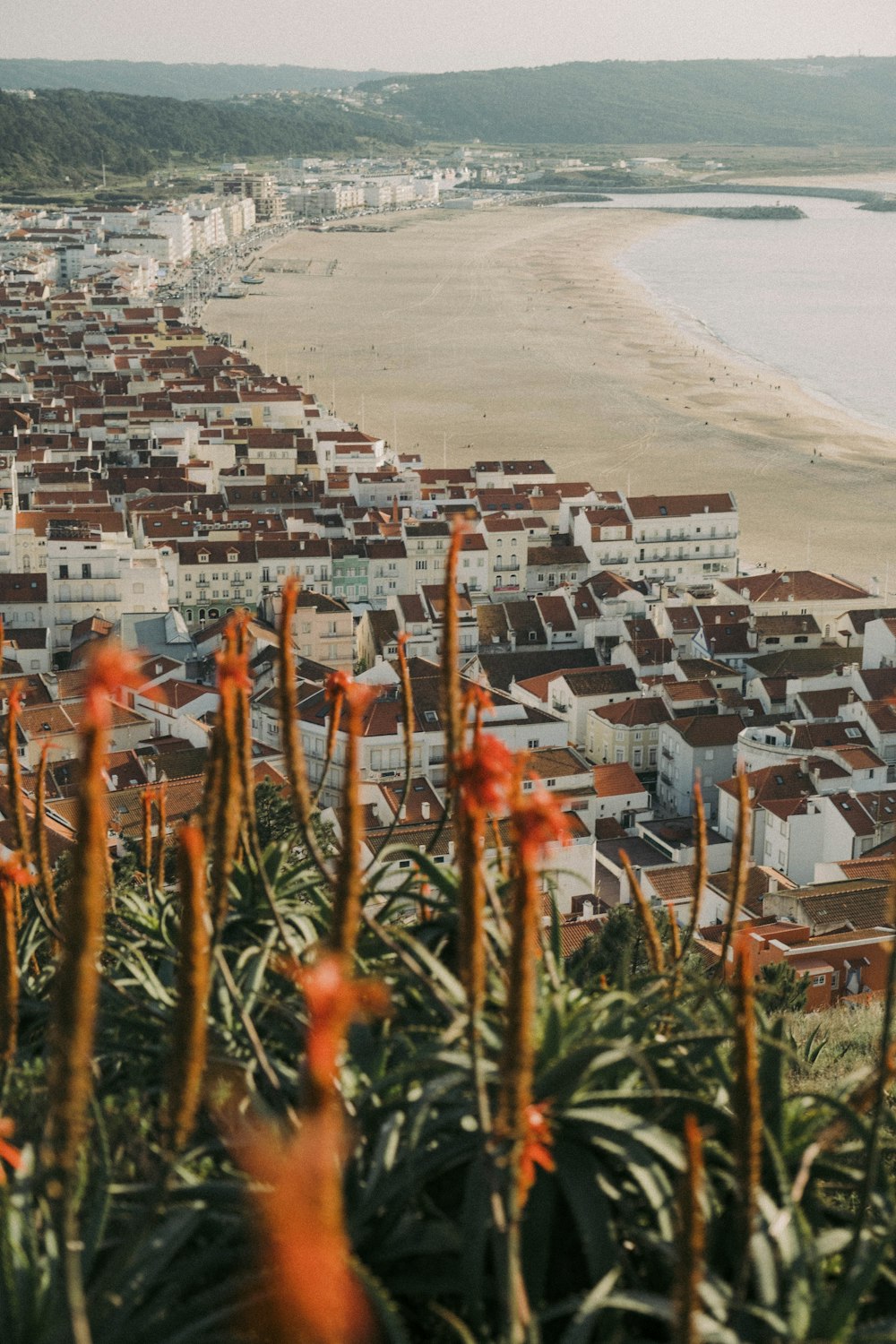 a city on the beach