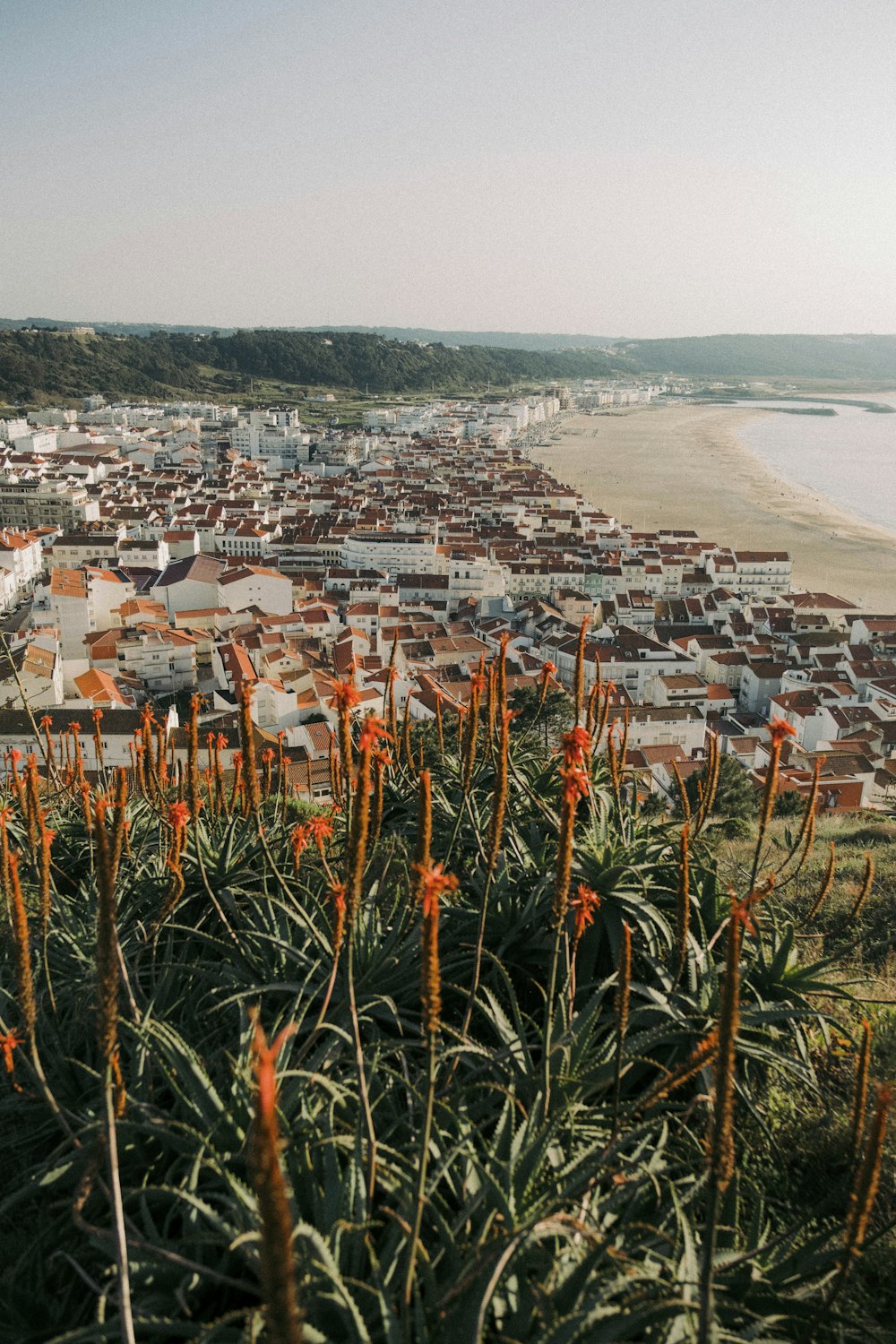 a city with many buildings