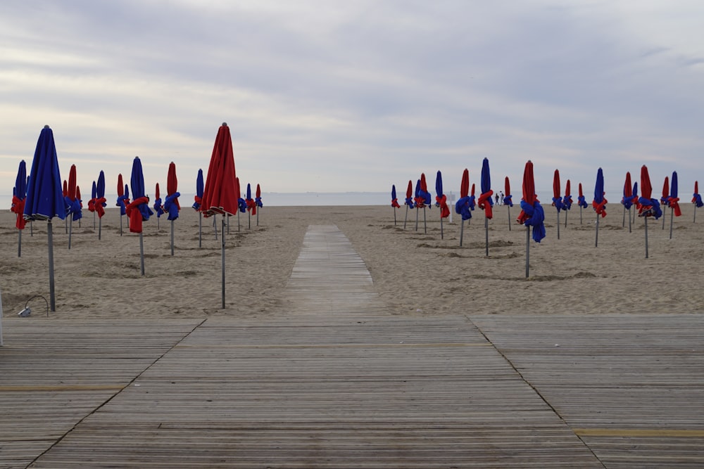 a group of umbrellas on a beach