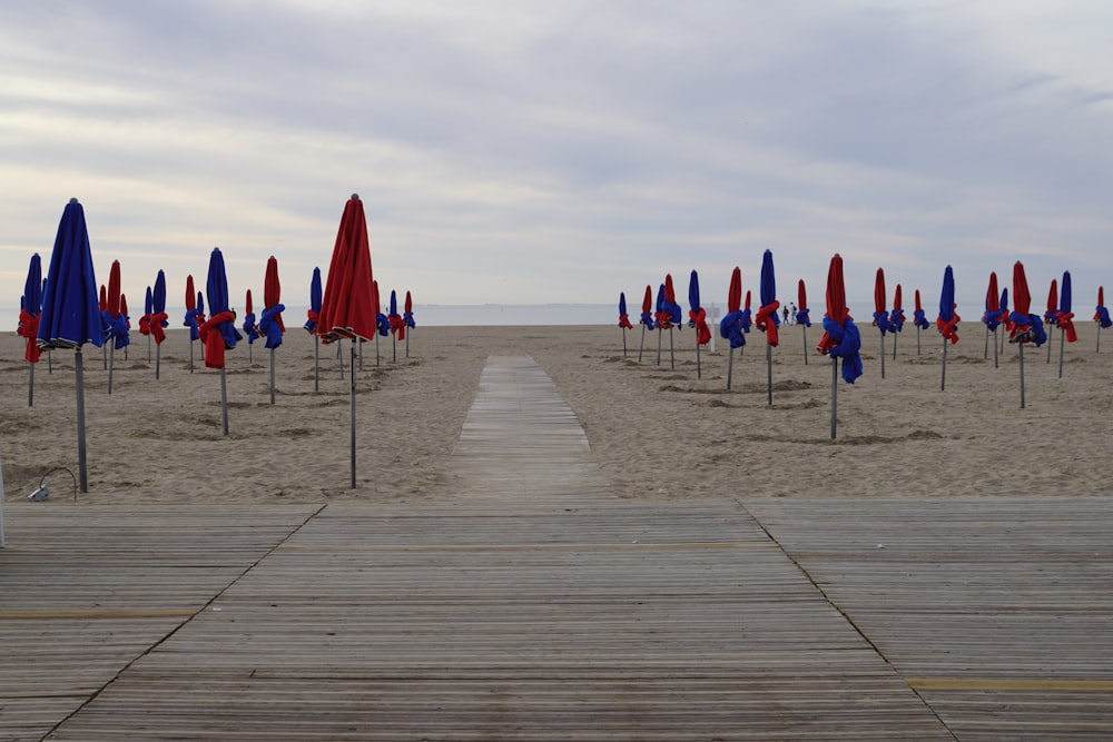 Un groupe de parasols sur une plage