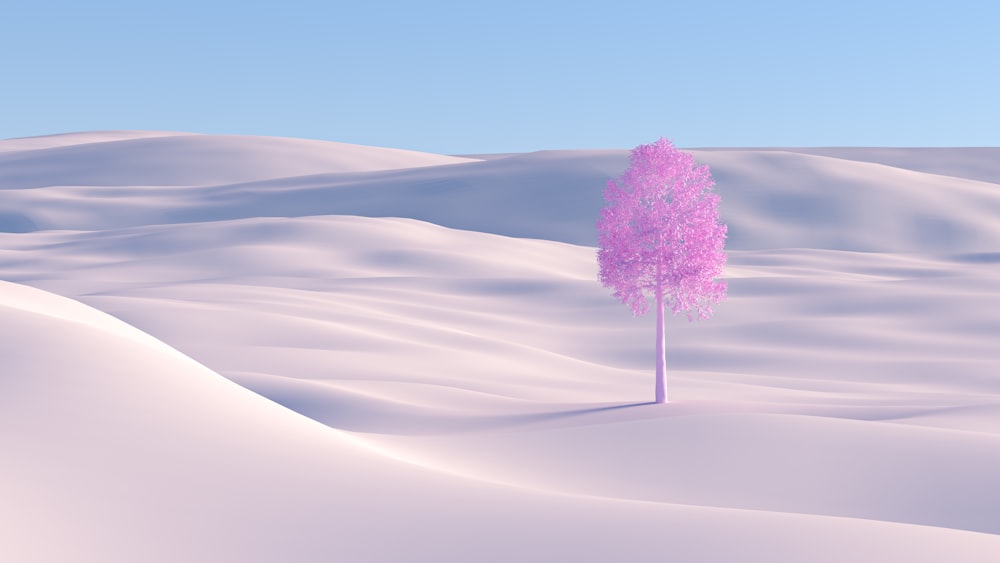 a tree in the desert