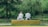 A serene couple sitting together in a park, enjoying a quiet moment.