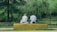 A serene couple sitting together in a park, enjoying a quiet moment.