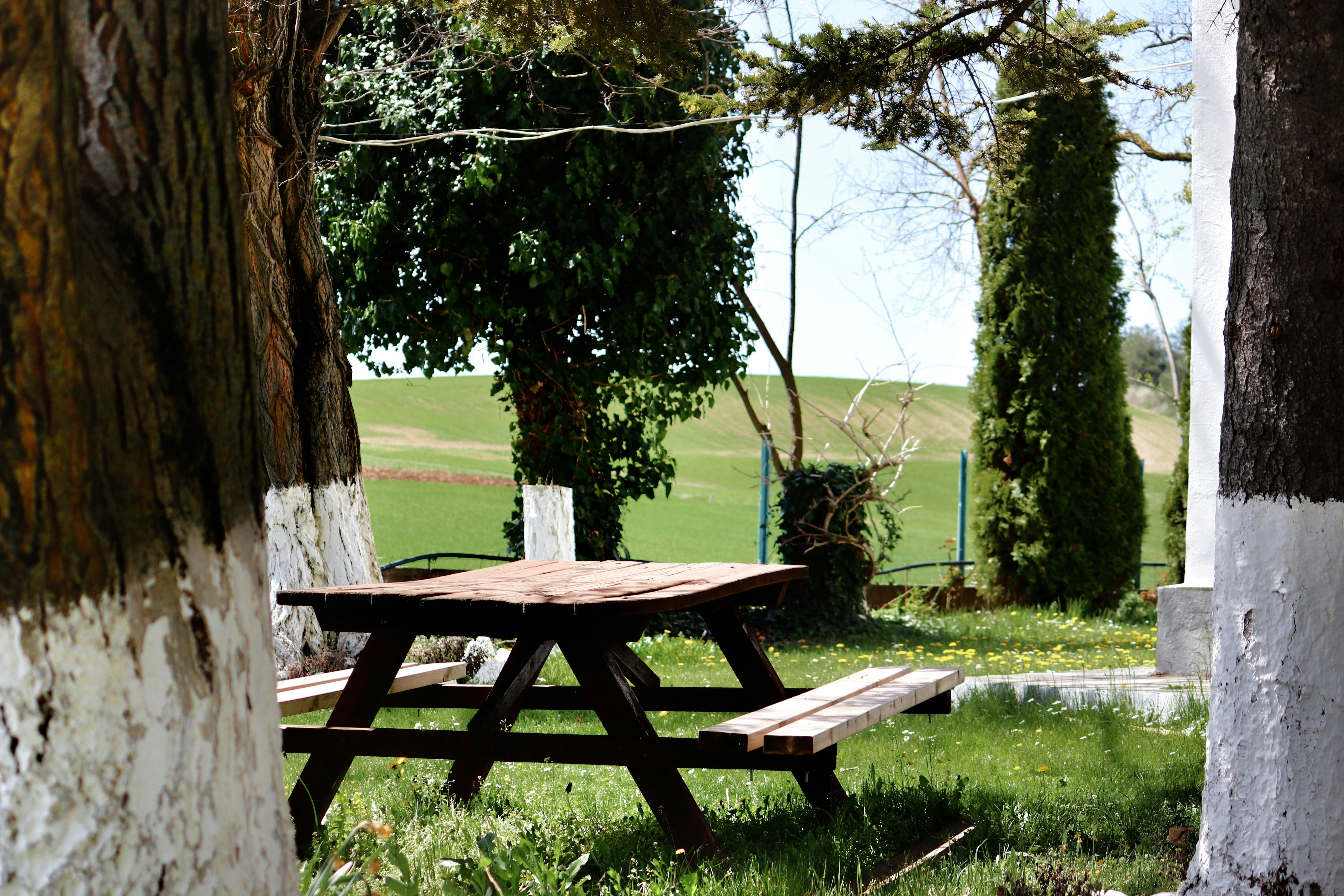 a picnic table in a park