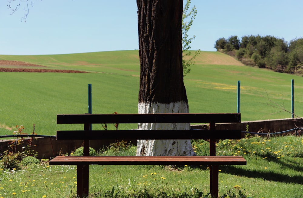 a bench in a park