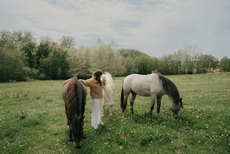 Group of people gently interacting with horses in an open, peaceful field.