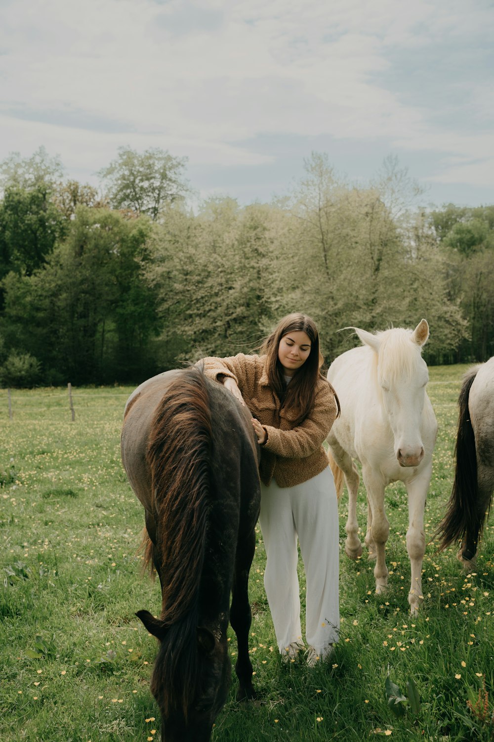 a person standing next to a couple of horses