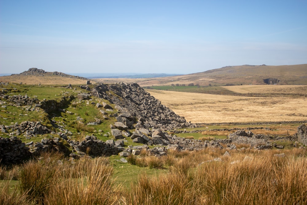 a rocky hillside with grass and rocks