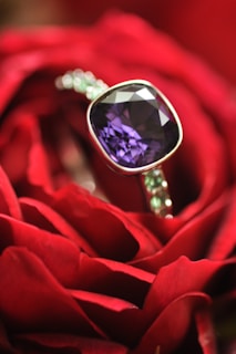 Bright, clean image of a freshly done septum piercing with a cute pastel purple ring