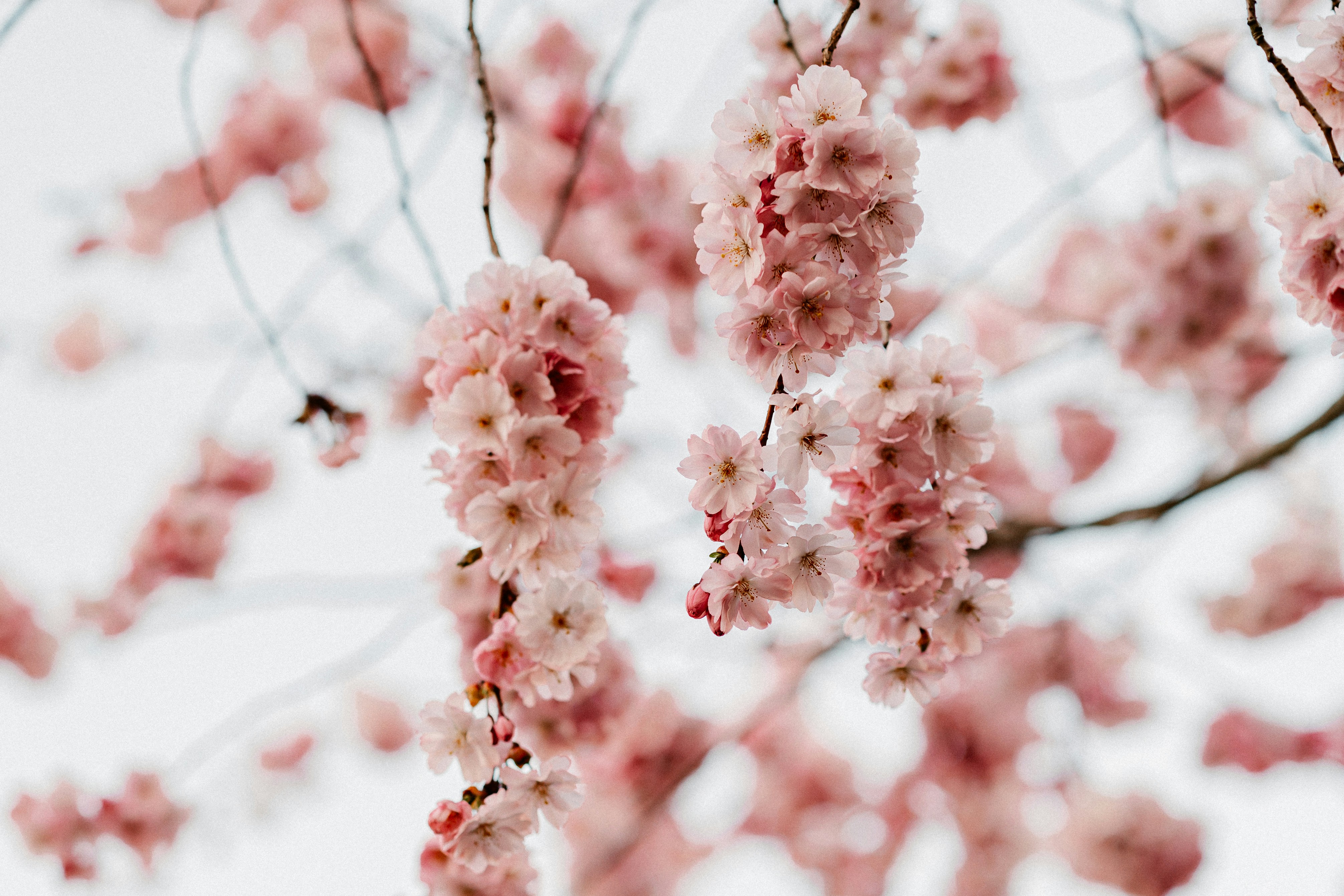 Photo by cate_brodersen