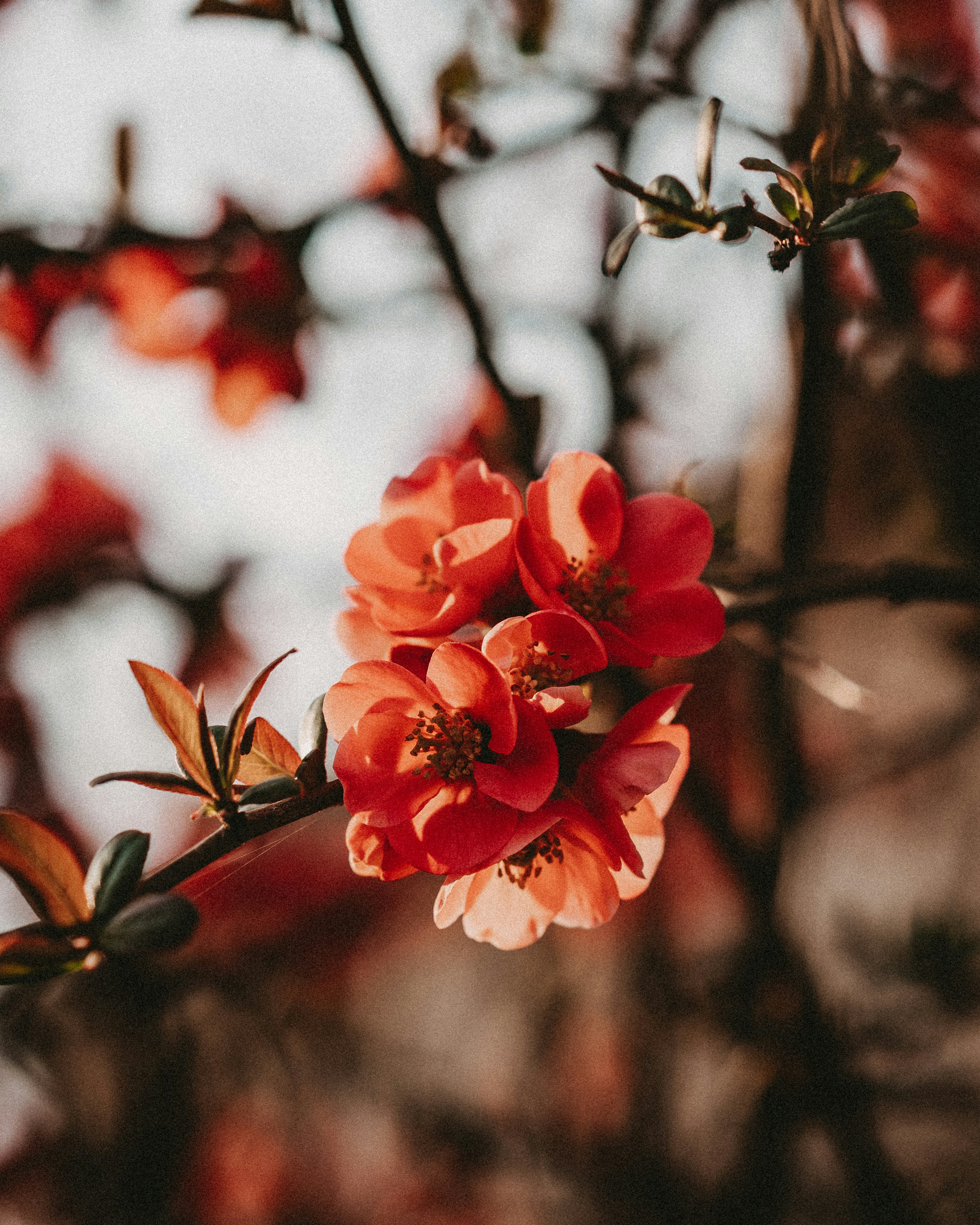 Photo by cate_brodersen