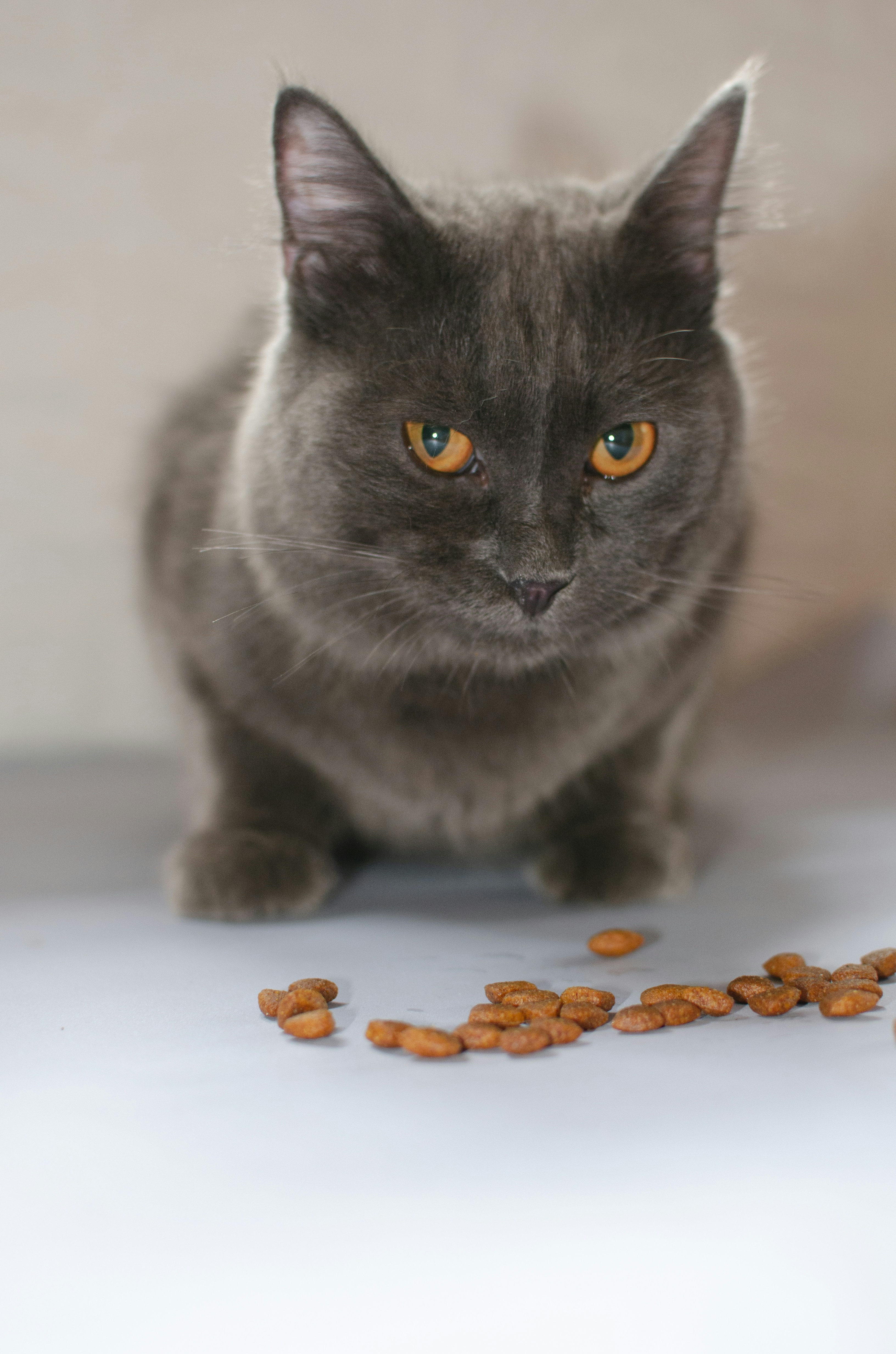 Choosing the Wrong Food (image credits: unsplash)